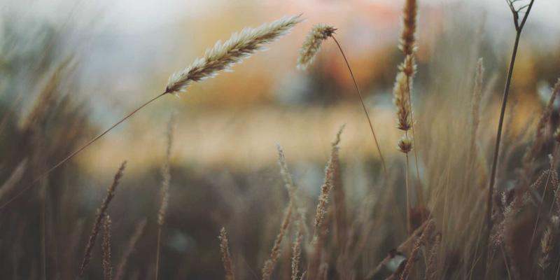 2024教育展38全攻略：海外留学、留学服务与教育咨询一站式解析