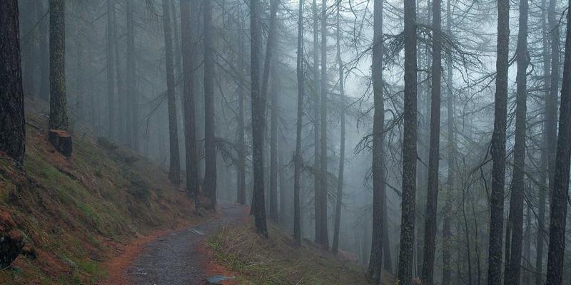 从教育展洞察留学新趋势：后疫情时代各国留学政策深度解读与教育咨询指南