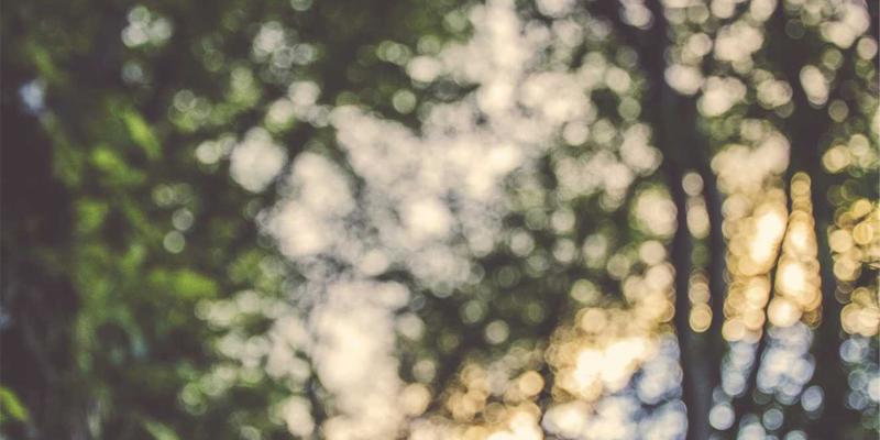 决胜大学申请：教育展模拟面试工作坊如何提升你的临场表现与问题应对能力