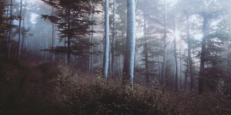 国际教育展如何成为高中生海外留学选专业的导航明灯