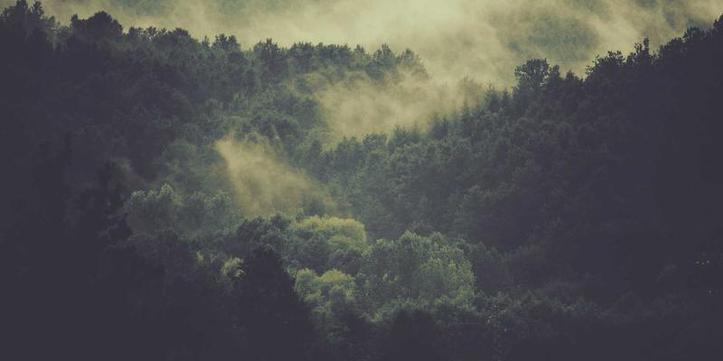 国际教育展模拟课堂体验：深度评估教学风格与课程难度的黄金机会