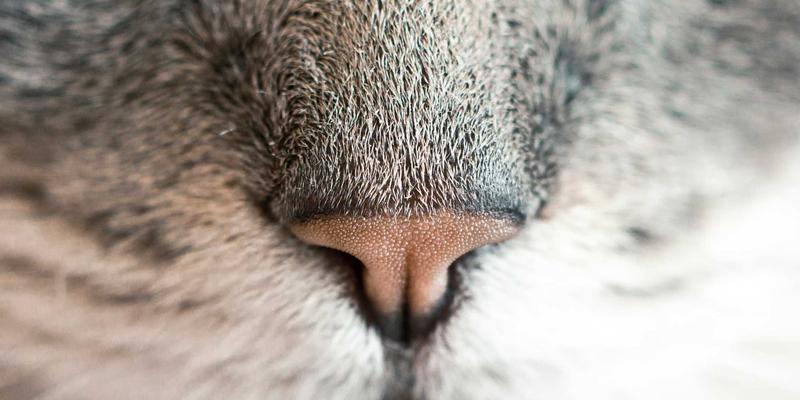 国际教育展深度指南：把握最新签证与移民政策趋势，决胜大学申请