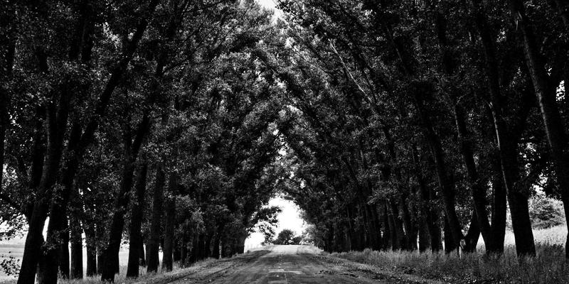 国际教育展深度攻略：一天时间高效获取目标院校信息的7个关键步骤