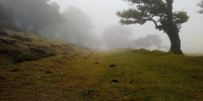 大学申请必看：教育展中雅思、托福最新动态与海外留学备考资源全攻略