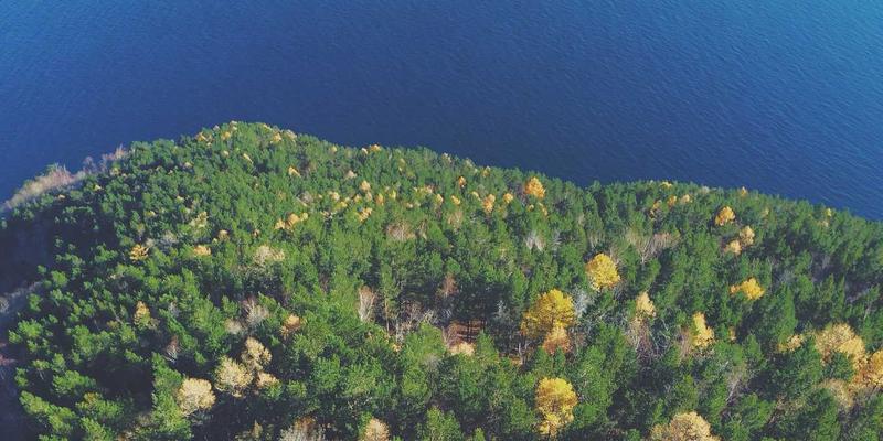 如何利用教育展资源规划间隔年：海外志愿项目与技能提升的留学服务新思路