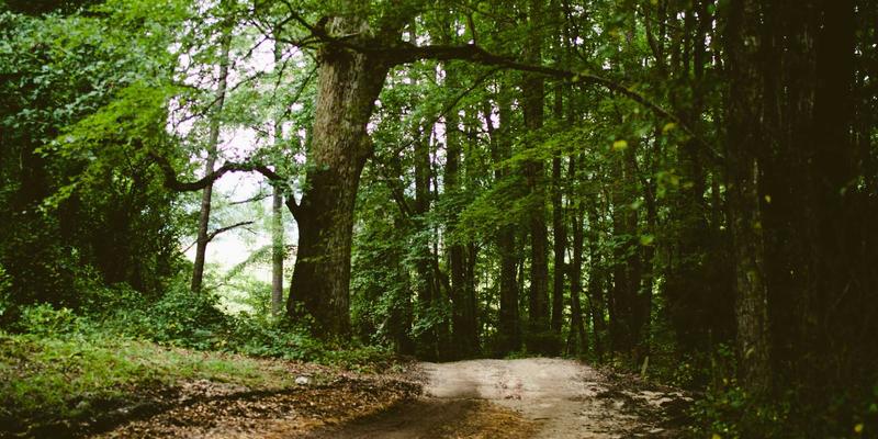 小众国家教育展全解析：荷兰、瑞士、北欧等国的留学机遇与挑战