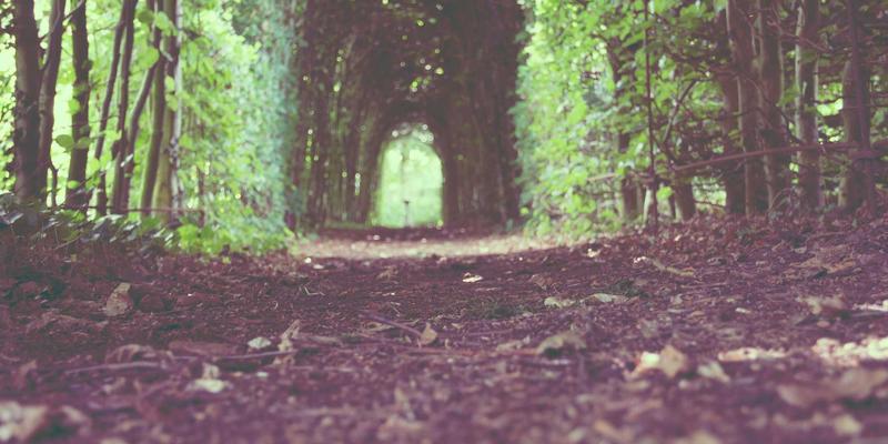 把握未来，连接世界：国际教育展如何成为您海外留学的关键一步