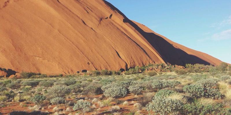 揭秘教育展院校代表沟通策略：五个关键问题获取独家录取信息 | 留学服务指南