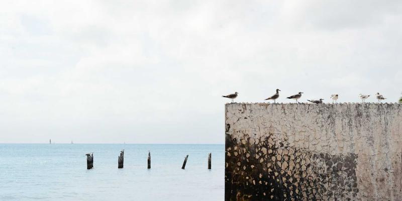 教育展17:开启国际教育新视野,一站式规划海外留学之路