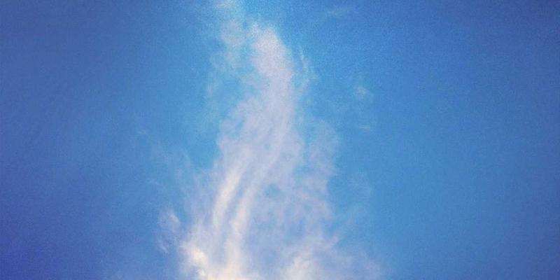 教育展31：一站式解锁大学申请与留学服务的黄金机会