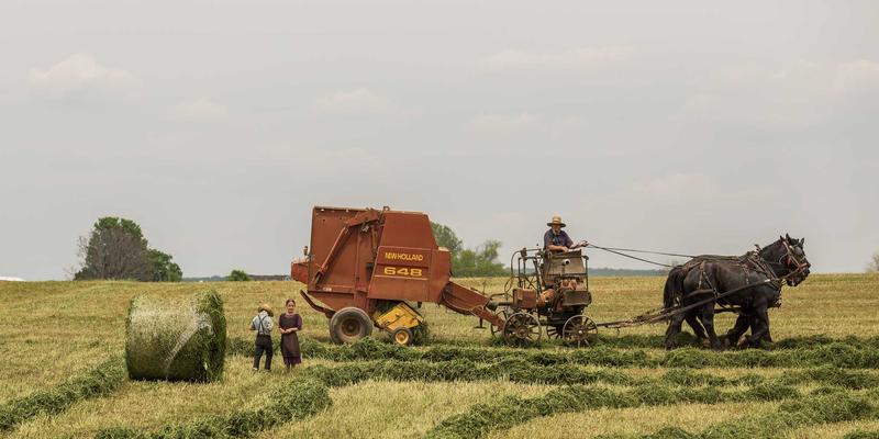 教育展39：一站式解锁国际教育与留学服务的全攻略