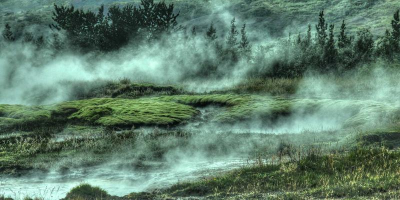 教育展40:开启海外留学新视野,一站式留学服务与大学申请全解析