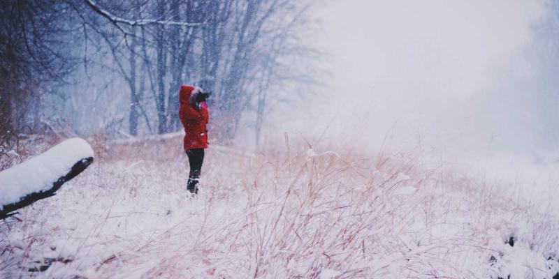 教育展61：解锁国际教育新机遇，助力大学申请成功之路