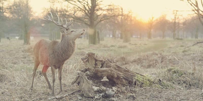 教育展68全攻略：大学申请与教育咨询一站式解决方案