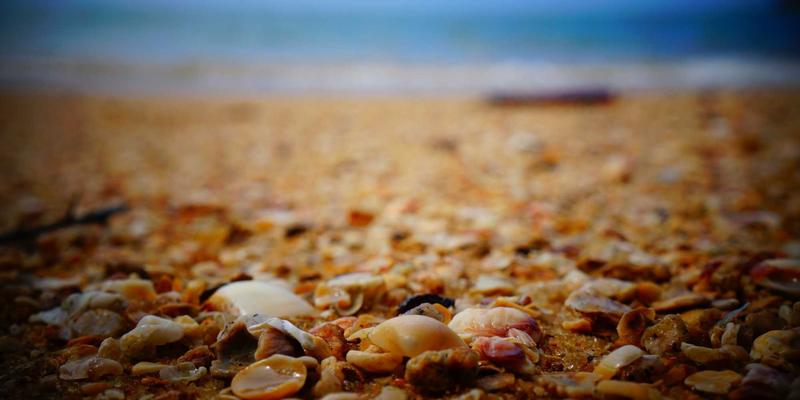 教育展77全解析：如何通过留学服务与国际教育资源实现顶尖大学申请