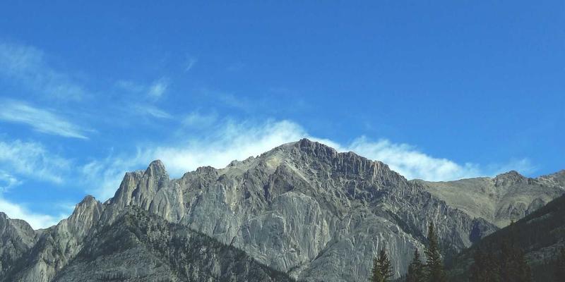 教育展78全攻略:把握海外留学机遇,定制专属教育咨询方案