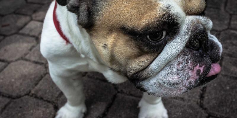 教育展上的奖学金与财务规划专场：如何争取高额资助与合理规划留学成本