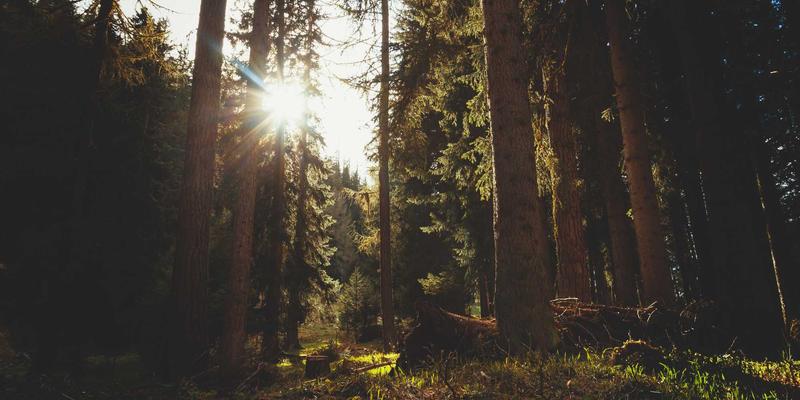 教育展前景展望：海外留学新趋势与大学申请服务升级