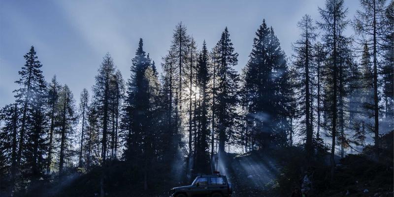 教育展后如何有效跟进：从获取信息到成功申请海外留学的关键步骤